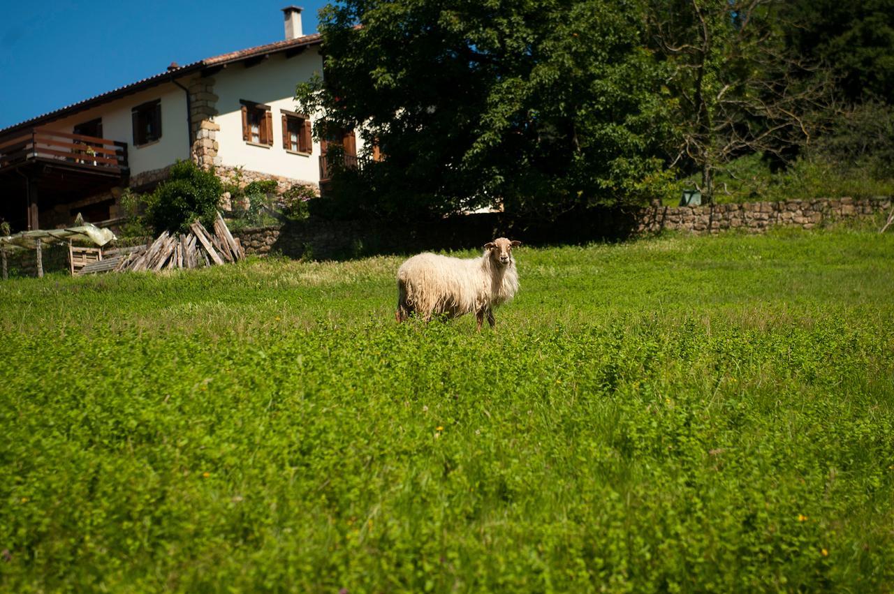Casa Peluaga Country house